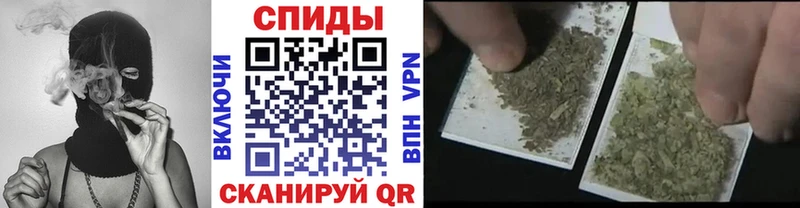 купить наркотики цена  Закаменск  Бутират 1.4BDO 