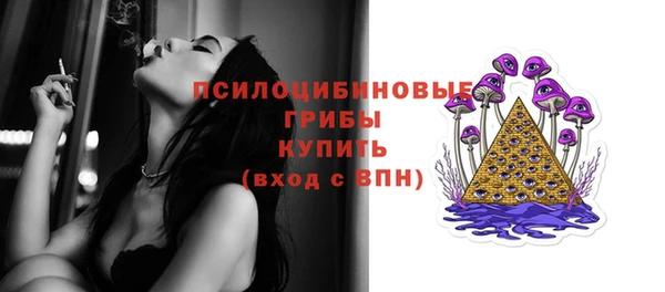 ПСИЛОЦИБИНОВЫЕ ГРИБЫ Вязьма